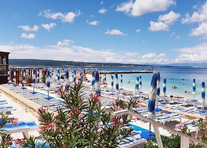 Adricon * Grizane-Belgrad