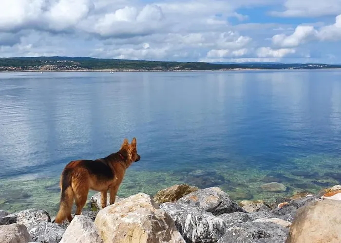 Adricon * Grizane-Belgrad