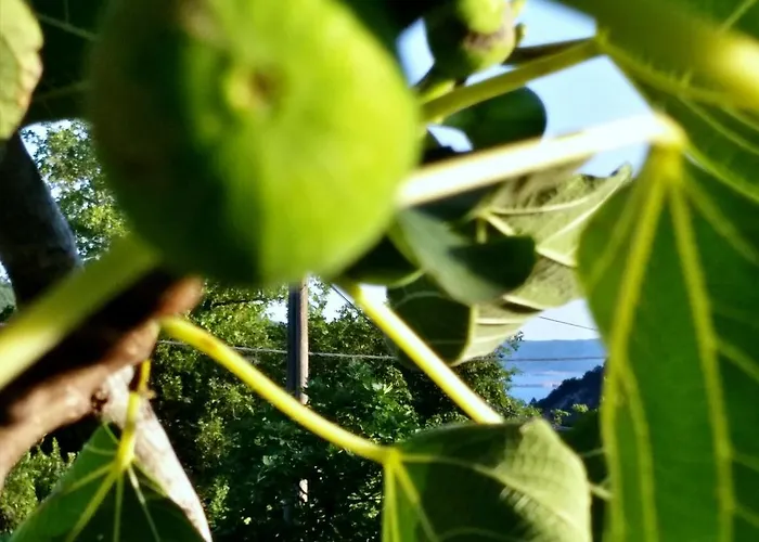 Holiday home Adricon *