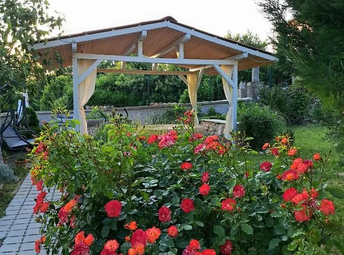 Adricon * Grizane-Belgrad