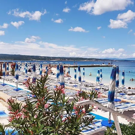 Adricon * Grizane-Belgrad