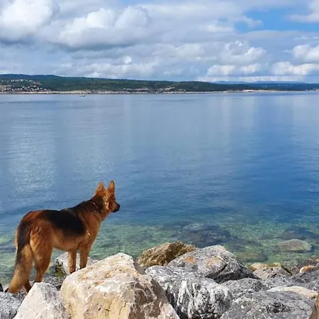 Adricon * Grizane-Belgrad